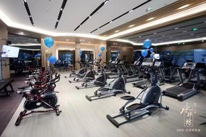 800sqm Gym Complete Bodybuilding Equipment Commercial Strength and <b>Cardio</b> <b>Training</b> Machine for Hotel Club Fitness GYM - Product Image 4