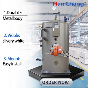 Offre Spéciale : Chaudières à Vapeur Verticales à Huile/Gaz/Méthanol/Éthanol de 300 kg/h de Capacité d'Évaporation, Générateurs de Vapeur 7 Kgf/cm² - Product Image 1