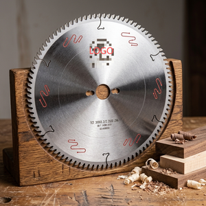 <span class=keywords><strong>Lame</strong></span> de <span class=keywords><strong>scie</strong></span> TCT professionnelle certifiée ISO9001 et CE, 12 pouces, 96 dents, à pointe en carbure, pour la coupe du bois et du contreplaqué, surface lisse - Product Image 1