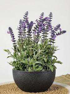 造花 プラスチック ラベンダー 植物 テーブル用 本物そっくり フェイク ラベンダー 鉢植え 装飾 結婚式 ホーム ガーデン 卒業式 - Product Image 4