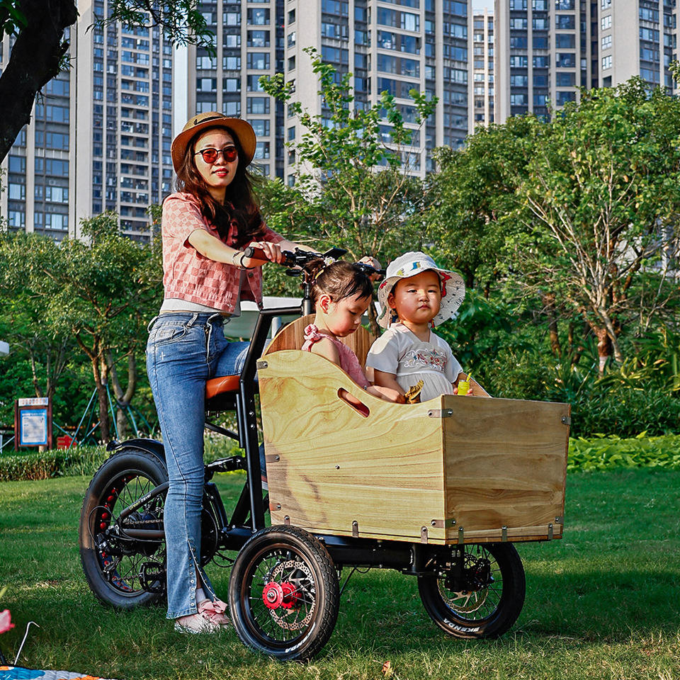 electric cargo tricycle 36V350W 500W for adults - Electric Cargo Bike - 1