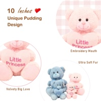 Ours en peluche personnalisé ODM OEM ourson en peluche bleu rose brodé coeur certifié CE anti-stress saint valentin 15-35cm dessin animé