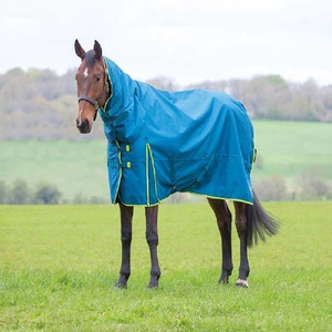<span class=keywords><strong>Couverture</strong></span> <span class=keywords><strong>de</strong></span> <span class=keywords><strong>cheval</strong></span> d'intérieur Oxford 600D résistante à l'usure, avec <span class=keywords><strong>sangle</strong></span> <span class=keywords><strong>de</strong></span> ventre réglable, <span class=keywords><strong>couverture</strong></span> équestre durable, taille personnalisée - Product Image 5