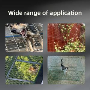 <span class=keywords><strong>Grillage</strong></span> en acier à faible teneur en carbone galvanisé à chaud DaringFish pour clôture de jardin et filet de protection pour l'isolation périmétrique extérieure des maisons - Product Image 3