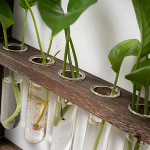 Wall-mounted Hydroponic Glass Test Tube Plant <b>Stand</b> Wooden Frame Rectangle For Pothos And Indoor Greenery Decor - Product Image 3
