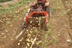 <span class=keywords><strong>LEFA</strong></span> Machine agricole de récolte de patates douces Tracteur agricole à une rangée Arracheuse de pommes de terre planteuse de riz Machine de plantation de paddy - Product Image 6