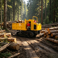 Mini-tracteurs Ruibote, moteur diesel, pompe hydraulique, boîte de vitesses, roulement, chenilles en caoutchouc, robustes, tout-terrain, pour ferme et jardin, 1T Gear