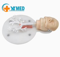 Recursos Didácticos, Modelo de Bronquio Duro, Modelo de Entrenamiento de Broncoscopia para Experimentos Médicos en Escuelas y Hospitales