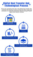 IT-H302 2pcs RESP F1080 Tête D'impression Presse Machines Dtf T-shirt Pet Film Imprimante Traceur