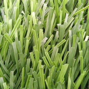 Giá rẻ PE nhân tạo bóng đá thảm cỏ nam phi 50 mét tổng hợp turf lĩnh vực thoát nước bãi cỏ <span class=keywords><strong>perth</strong></span> giá - Product Image 4