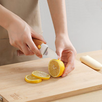 OEM Nouveau design tendance 2 en 1 Éplucheur de fruits et racloir à melon multifonctionnel en acier inoxydable, râpe de cuisine polyvalente avec PP