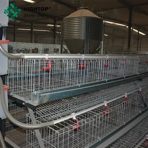 Venta caliente una capa tipo de jaula de pollo para la venta en Filipinas