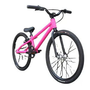 20 "yüksek kaliteli pembe renk yüksek karbonlu çelik çerçeve ve dişsiz çatal OEM mini bmx