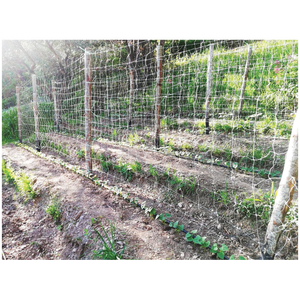 White 2x100 m Star Climbing Net for Agricultural <b>Plastic</b> <b>Products</b> - Product Image 1