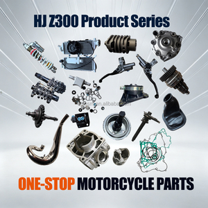 บล็อกกระบอกสูบ CQJB Z300 สำหรับรถมอเตอร์ไซค์ออฟโรด Hengjian Z300 เครื่องยนต์ 2 จังหวะ อะไหล่ทดแทน ผลิตจากเหล็กและอลูมิเนียม คุณภาพระดับ A - Product Image 4