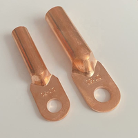 Cosses de câble de borne de tube de cuivre accessoire d'usine OEM Connecteur de batterie tubulaire Fils de borne à vis Câbles Assemblages de câbles