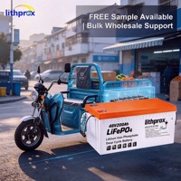 Batterie de tricycle électrique LiFePO4 48V200AH de qualité supérieure, performance constante, sûre et stable pour scooter pour personnes handicapées, CE FCC UN38.3 OEM ODM