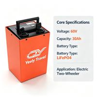 Baterai Lithium Iron Phosphate LiFePO4 60V 30Ah/50Ah/100Ah dengan BMS Pintar Terintegrasi, Output Tinggi Jangkauan Jauh untuk Becak Listrik