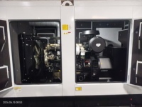 Grupo Electrógeno Perkins 160 KW 176KW Precio Generador 200 KVA 220 KVA Trifásico de Emergencia Diésel con ATS para Hotel