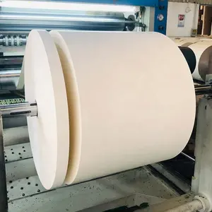 High Bulk Food Grade Single PE Coated Paper Cup Bottom Roll Virgin Pulp Material for Coffee and Tea from Indian Supplier