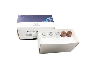 EQ042 50rxn DL5000 Marcatore <span class=keywords><strong>DNA</strong></span> (100bp 5000bp) per la Ricerca - Product Image 1