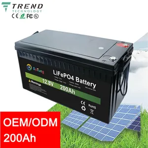 Lifepo4 48V 200Ah 배터리 충전기 Ev 팩 리튬 이온 21700 Bms For Batterie Bateria 100Ah