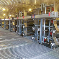 Cages à poules pondeuses entièrement automatisées de type H, galvanisées, pour élevages avicoles