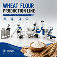 Ligne de production de farine de blé efficace : Élimination des pierres et lavage du blé pour une pureté améliorée de la farine avec système de fonctionnement sécurisé