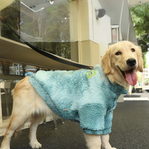 फैशन कस्टम बड़े कुत्ते के कपड़े लोकप्रिय दो पैर के कुत्ते कोट टिकाऊ पालतू जानवरों के लिए उत्पाद - Product Image 5