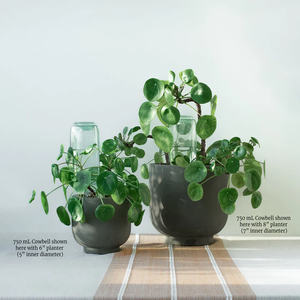 Kit de jardinería para el hogar de Interior de <span class=keywords><strong>autorriego</strong></span> moderno 750mL para macetas tipo suelo de cultivo de flores de escritorio <span class=keywords><strong>DIY</strong></span> para flores artificiales - Product Image 6