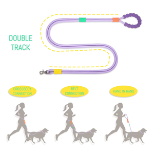 Correa para Perro con Logotipo Personalizado OEM, Correa para Mascotas con Mango de Cuentas, Nailon Resistente para Perros Pequeños y Medianos - Product Image 2