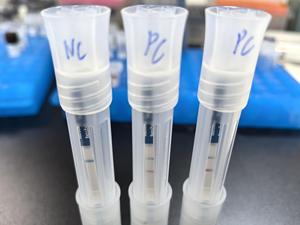 Kit de Prueba Rápida de Ácido Nucleico RPA LFA, Sensibilidad a Nivel PCR, Detección Rápida en 8 Minutos, Reactivo de Diagnóstico Molecular Multiplex - Product Image 4