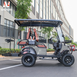 Электрический гольф-кар с кондиционируемым грузовым отсеком, бензиновым 4-тактным двигателем, не требующим обслуживания, с сухой батареей, сертифицированный DOT - Product Image 3