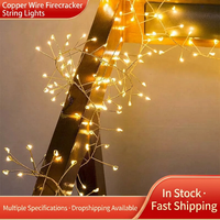 Guirlande lumineuse LED en fil de cuivre RGB, étanche, pour décoration intérieure et extérieure, idéale pour les fêtes