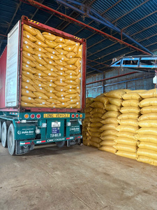 Cocopeat sẵn sàng phát triển trong túi màu tự nhiên tốt nhất cho thủy canh, hồ cạn và nhà máy container - Product Image 6