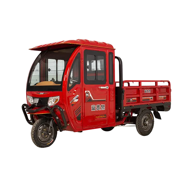 60V/72V Cargo Elektrische Driewieler Gesloten Cabine Elektrische Driewieler 3 Wiel Elektrische Trike Te Koop