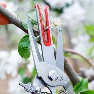 Sécateur de jardin à double tranchant et double embout pour la cueillette des pommes, des kiwis et des poires - Product Image 1