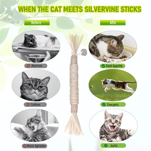 Nouveaux bâtonnets de Silvervine, jouet à mâcher dentaire naturel à la <span class=keywords><strong>catnip</strong></span> pour chat, stimulant l'humeur et favorisant la santé bucco-dentaire - Product Image 4