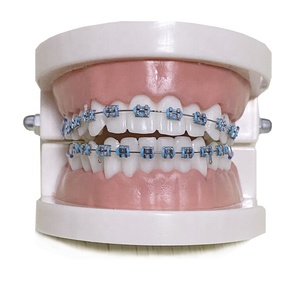 Nouveaux produits 2025, équipements de beauté dentaire, produits, brackets, faux appareils dentaires tendance pour les dents, appareil dentaire - Product Image 3