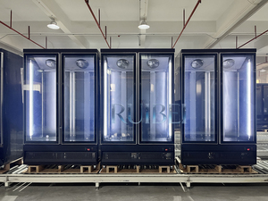 Congélateur vertical à double porte vitrée, température unique, éclairage LED, dégivrage <span class=keywords><strong>automatique</strong></span>, congélateur commercial à froid au bas pour présentation - Product Image 6