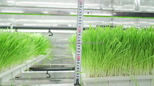 نظام علف الزراعة المائية الأوتوماتيكي بالكامل من Lyine للزراعة المائية ، آلة زراعة علف الشعير ، آلة زراعة الأعشاب ، حاوية علف الزراعة المائية - Product Image 4