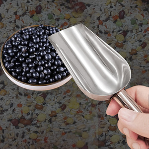 Espátula de acero inoxidable, espátula de supermercado para granos, dulces, té, frutas secas y especias; espátula para cubitos de hielo para té con leche - Product Image 1