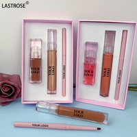 Kit Combo Maquillage Lèvres Liquide 3-en-1 Végétalien Longue Durée Effet Transparent Huile à Lèvres Brillant à Lèvres Rouge à Lèvres Crayon à Lèvres Marque Privée Vente en Gros