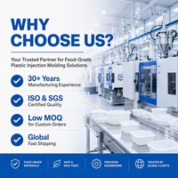 CE RoHS gecertificeerde, food grade HDPE IQF vriesbak, stapelbaar, geperforeerd gaas voor koude opslag van vis, vlees en fruit