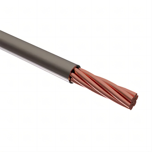 Factory New <strong>Copper</strong> <strong>Wire</strong> Factory <strong>Price</strong> Red <strong>Copper</strong> Strip Customized Size 2mm 3mm <strong>Copper</strong> <strong>Wire</strong> - Product Image 4