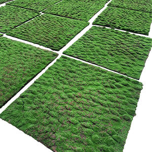 Fabricante Chino Suministra Césped Artificial Ecológico y Duradero, Alfombra <span class=keywords><strong>de</strong></span> Césped Arrugado (Plástico y Algodón) <span class=keywords><strong>para</strong></span> Paisajismo - Product Image 5