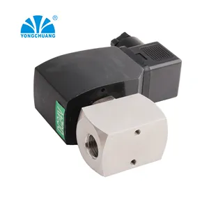 Yongchuang YCH41 24v 120bar yüksek basınçlı piston nemlendirici sistemi araba yıkama için Solenoid vana