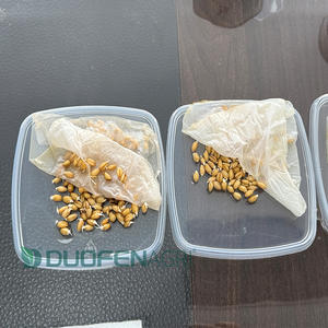 Disolución rápida Absorción rápida Raíz Osmocote Ácido húmico Orgánico Npk Fertilizante líquido para plantas y verduras - Product Image 1