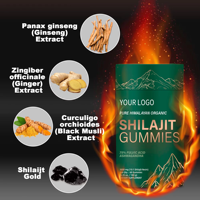 Gummies de Shilajit Pur Sauvage de l'Himalaya en Gros, Riches en Minéraux et Vitamines, Soutien Énergétique et Mémoire Cérébrale, Extraits Végétaux