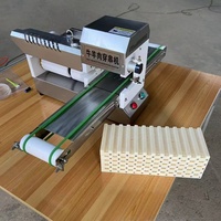 Machine automatique à brochettes de viande (bœuf, porc), tofu et kebab pour barbecue